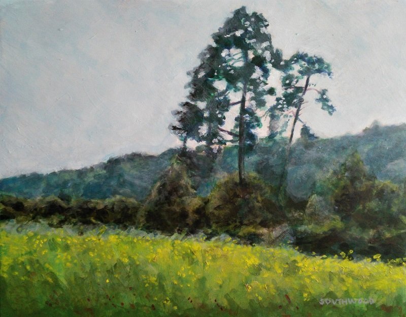 Spring meadow, Wrecclesham, Acrylics on gesso board - 36 x 28 cm