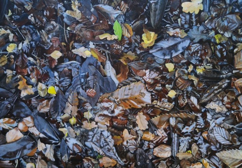 November leaves in the suburbs. Acrylics on canvas - 59 x 84 cm