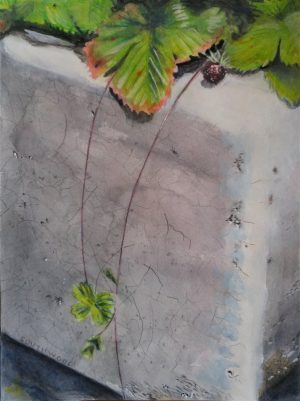 wild strawberries in an old sink. Watercolour and gouache on paper - 23 x 31 cm