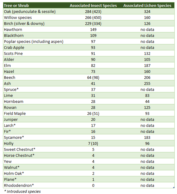 Number of insects and lichen supported by various trees