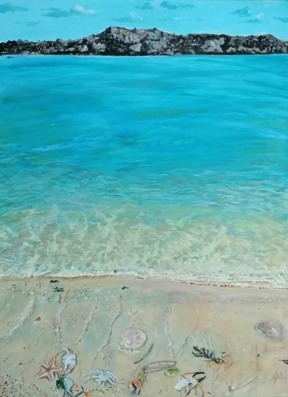 Beach with stranded marine life. Acrylics on linen canvas - 56 x 41 cm