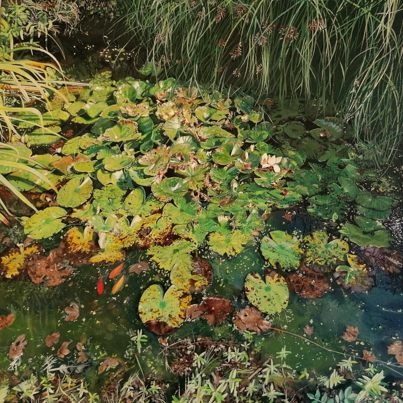 Water lilies (Peak's Pond, Guildford). Acrylics on canvas - 60 x 60 cm